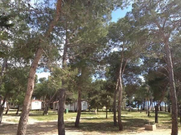 Camp Porat Hotel Повляна Екстериор снимка